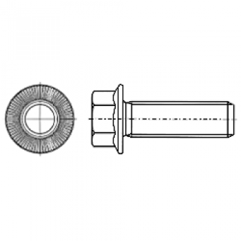 P158 PEINER Ripp-Schraube, 100, blank  12 X  30 Verpackungseinheit 100 Stück